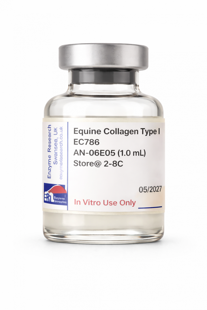 Horse Collagen Type 1